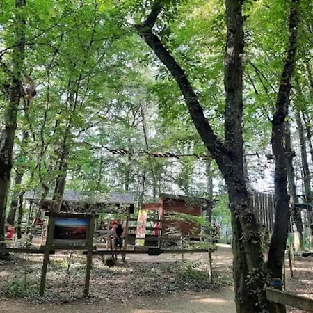 Ferienhaus Maison Calme Proche De La Cite Des Loisirs *